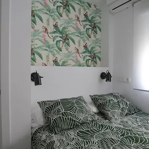 Cute Apartamento Málaga