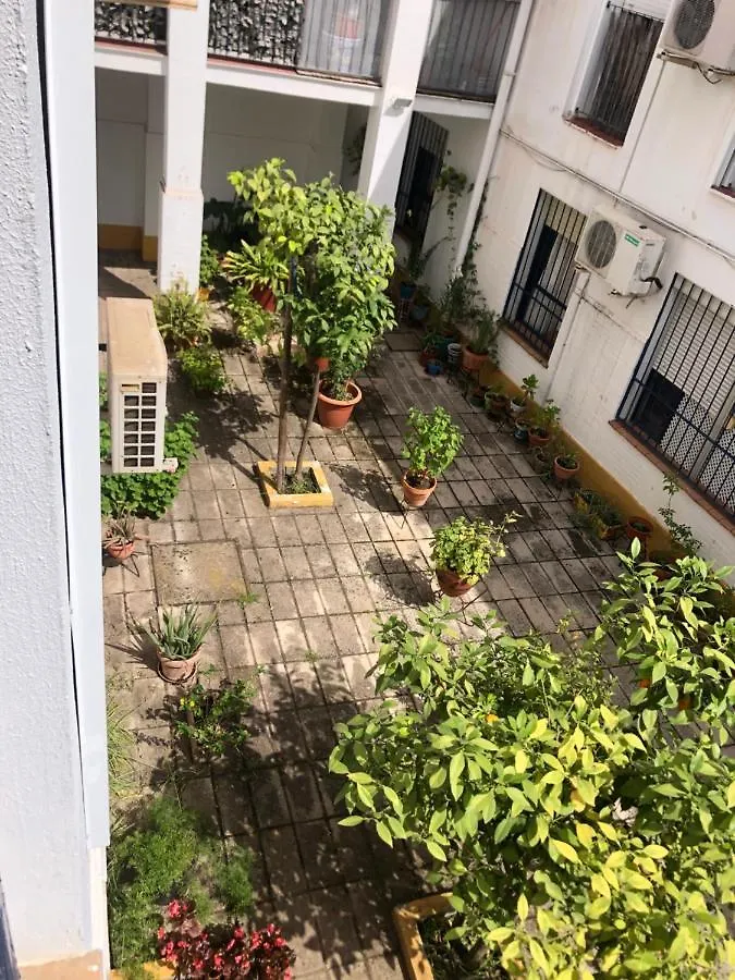 דירה סביליה Apartamento Plaza Santa Lucia Renovado Febrero 2025